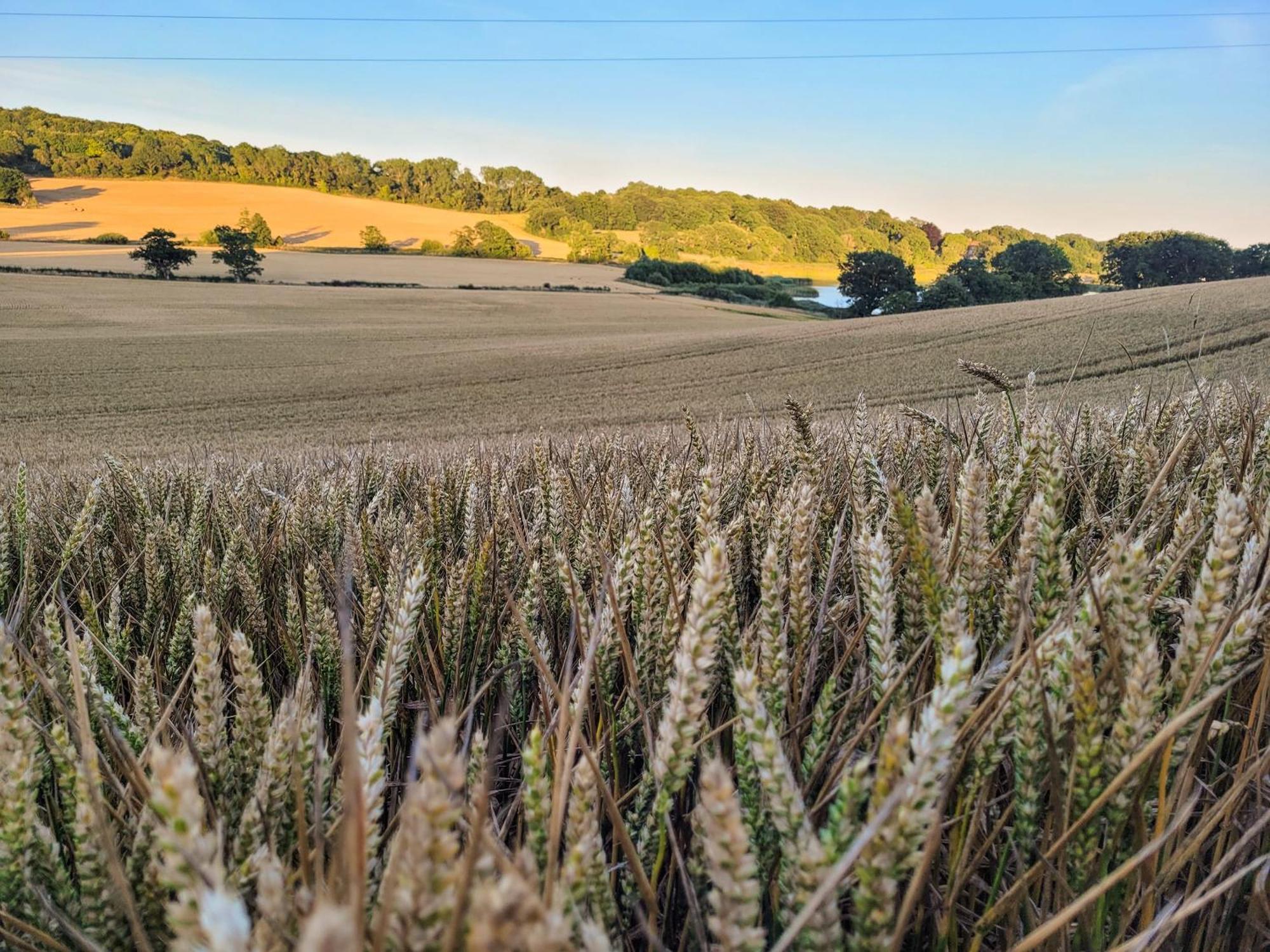 Willa Hayfield Haven-Uk40691 Crowhurst  Zewnętrze zdjęcie